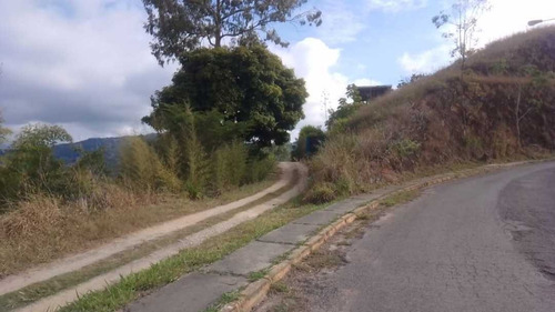 Imagen 4 de 10 de Vendo Terreno 1282 M2 Bosques De La Lagunita 7574