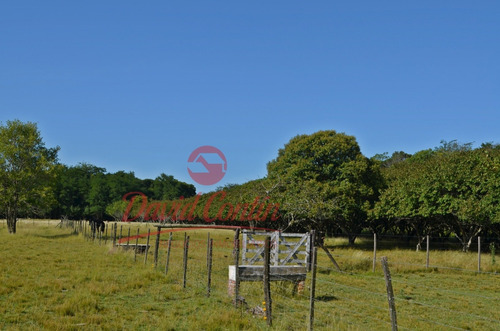 Imagen 12 de 30 de Hermoso E Ideal Campo En Venta
