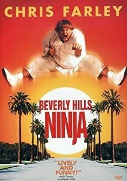 Beverly Hills Ninja Beverly Hills Ninja Widescreen Dvd