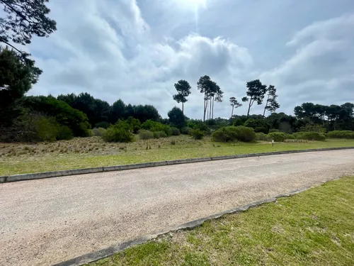 Venta Lote En Acres De Solanas Punta Ballena - Maldonado