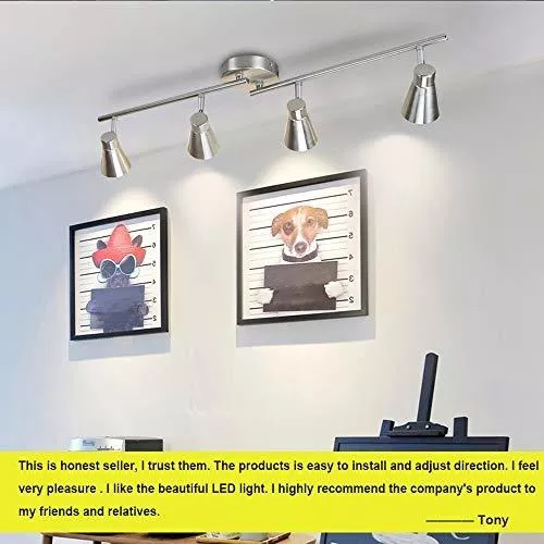 DLLT - Kit de iluminación LED de 4 luces, foco de techo empotrado, luz de  techo direccional para cocina, comedor, dormitorio, oficina, níquel
