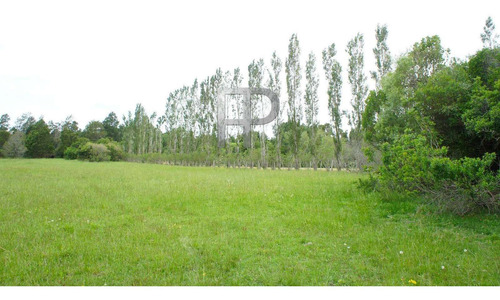 Imagen 8 de 10 de Campo En Venta Laguna Del Sauce 4 Hectáreas