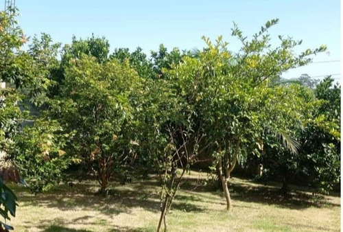 Imagem 13 de 18 de Pj Pequena Chácara A Venda