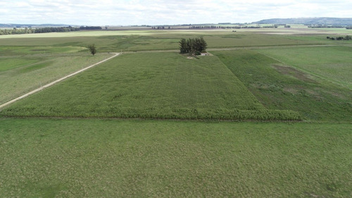 Imagen 17 de 30 de Quinta De 8 Has. A 1.800 Mts Ruta 226 - 100 % Agrícola