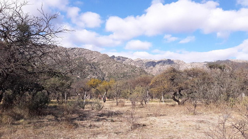 Imagen 7 de 10 de Terreno - Cortaderas
