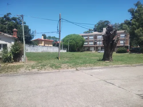 Floresta Excelente Terreno En El Centro De Floresta