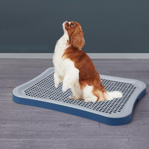Mictório Higiênico Lavável Para Cães Com Coluna Azul
