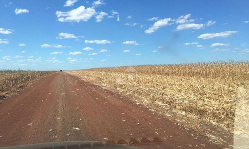 Imagem 2 de 8 de Fazenda Em Divinópolis Do Tocantins - 2808