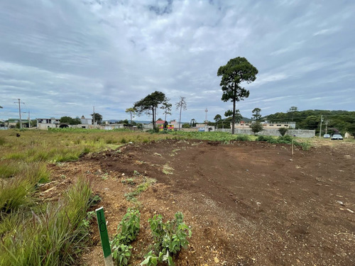 Lote En Venta En Comitan