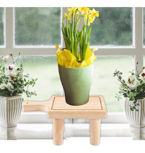 * Soporte De Madera Para Plantas Suculentas, Soporte Para S