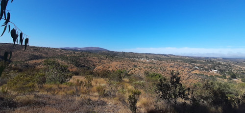 Hasta 9 Terrenos De 1ha A 42ha Total Aprox: 130ha La Rudilla