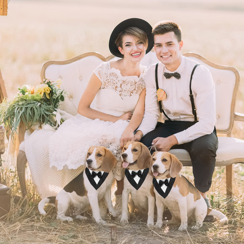 Bandana De Boda Con Forma De Esmoquin Para Perro, Modelo Ado