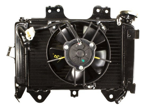Radiador Completo Para Pulsar Ns 200