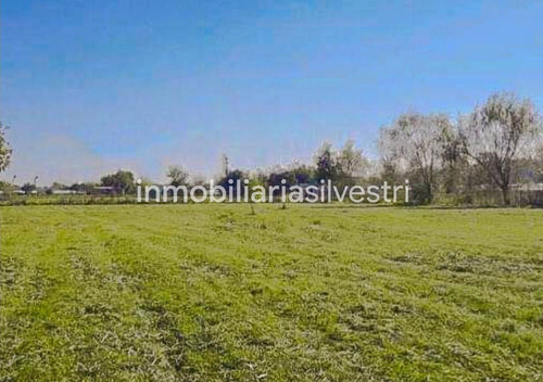 Imagen 2 de 2 de 515 E/ 221 Y 224 Abasto - Lote En Venta