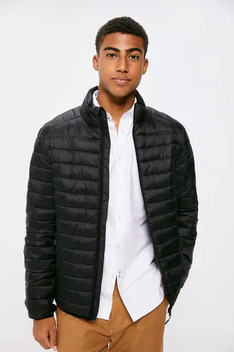 Chamarra springfield hombre sale