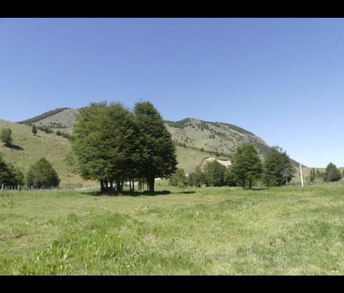 Oportunidad Campo 23.800 M2 Camino Lago Castor 