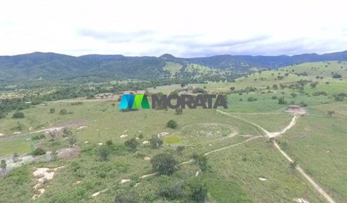 Imagem 6 de 6 de Fazenda - Zona Rural - Ref: 5483 - V-mta5483