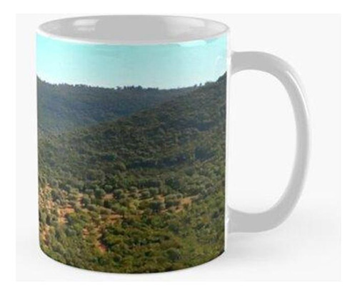 Taza La Llanura De Olivos Milenarios. Calidad Premium