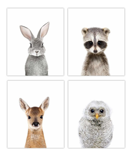 Maria Woodland Baby Animals Nursery Decor Art Set Of 4 (unfr