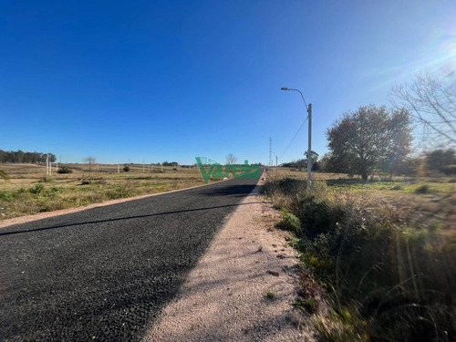 Imagen 6 de 12 de Terrenos En Pando, Venta Segunda Etapa, Financiados A Pura Cuota, Varela Inmobiliaria