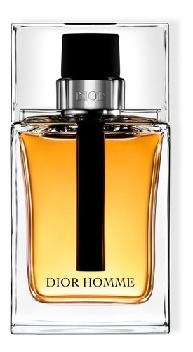 Perfume Dior Homme Edt 100ml Original 
