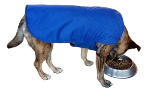 Capa Impermeable Y Doble Polar Para Perros Grandes!