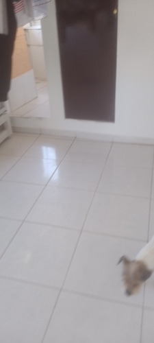 Casa Sobrado 1 Quarto 3 Banheiro Area De Churrasco