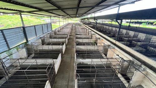 Agropecuaria Prima Rosa En Venta. (nc)