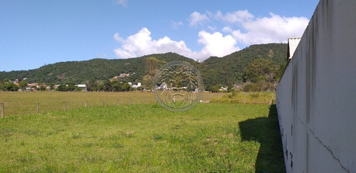 Imagem 2 de 15 de Terreno - Ribeirao Da Ilha - Ref: 2213 - V-2250