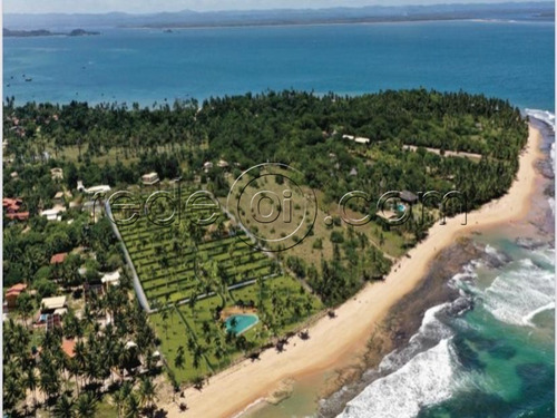 Imagem 5 de 16 de Lote No Condomínio Irauã | 426m² | Praia De Taipus De Fora Península De Maraú | Ba - Te00253 - 69475586
