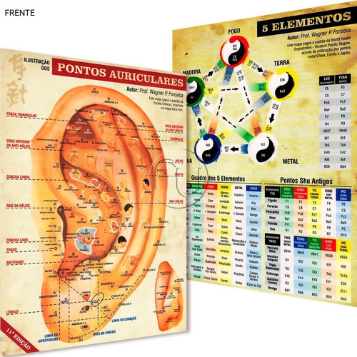 Kit Mapa Acupuntura Aurículo E 5 Elementos, De Wagner Pereira Da Fonseca. Editora Abao Em Português