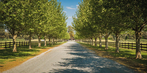 Imagen 27 de 30 de Oportunidad Lotes En Technopolo Country Club - Listos Para Construir!!!