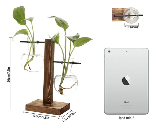 Feitore Jarrón De Cristal Para Plantas De Escritorio, Terrar