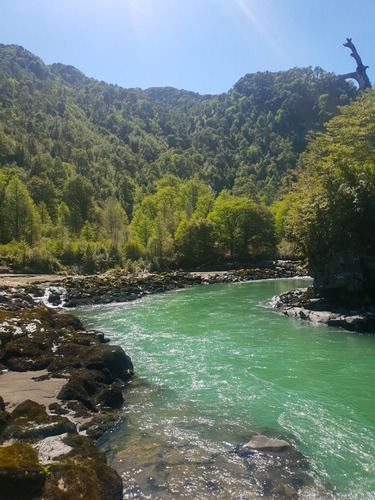 Campo De 297 Hectáreas Cercano A Cerro Castillo Con Río