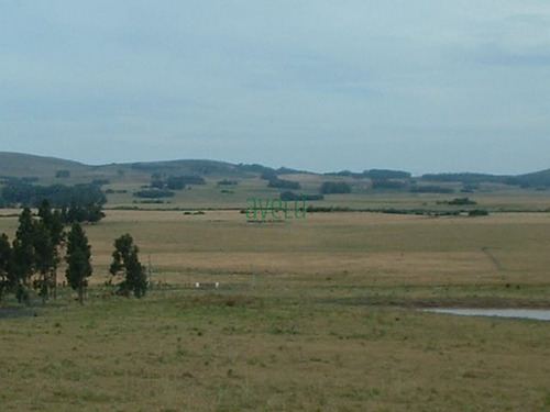 Hermosa Chacra A Ala Venta O En Alquiler !!!!! Consulte !!!!- Ref: 1378