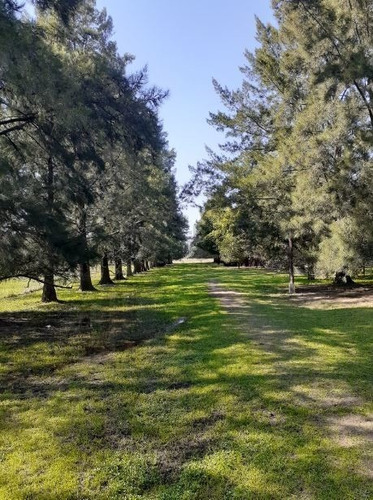 Imagen 1 de 12 de Campo De 9 Hectáreas - Av. 44 252 Y 254. 5 Parcelas Con Partidas Individuales.-