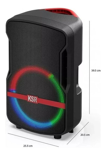Kaiser Bafle Recargable Profesional 20w Bluetooth Micrófono