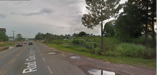 Imagem 12 de 15 de Terreno Comercial - Sangao - Ref: 30533 - V-30531