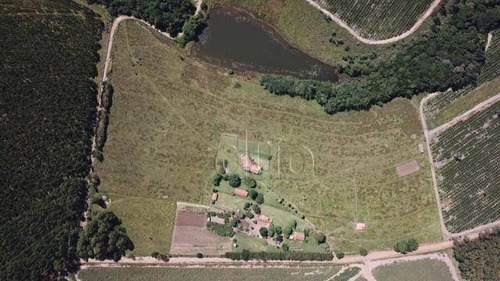 Imagem 14 de 20 de Sítio Com 3 Dormitórios À Venda, 109000 M² Por R$ 1.350.000,00 - Alto Da Serra - São Pedro/sp - Si0003