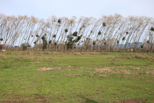 Venta Parcelas Nenquen, Santa Cruz.
