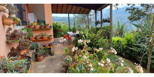Venta Finca 14 Ha, Boconó Edo. Trujillo, Venezuela