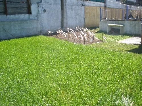 Imagen 11 de 12 de Venta Apartamento 2 Dormitorios Y Terreno Curva Maroñas