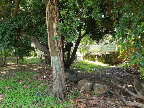 Terreno Super Ubicado Totalmente Plano En Ocotepec Cuernavaca