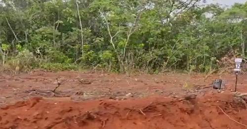 Imagem 7 de 30 de Conheça Fazendas Recanto Da Jaguara! Fazendinhas De 20.000,00 M2 De Terra Boa E Ótima Topografia, Em Jaboticatubas, A 10 Minutos De Lagoa Santa Mg. - Oci0129 - 70337536