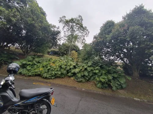 Casa En Arriendo En Envigado - El Dorado Cod 62747