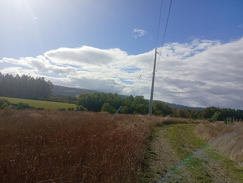Terreno Ubicado A 6 Km De La Union, Sector Cudico