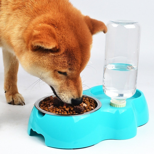 Comedero Doble Bebedero Con Botella Plato Para Perros Gatos