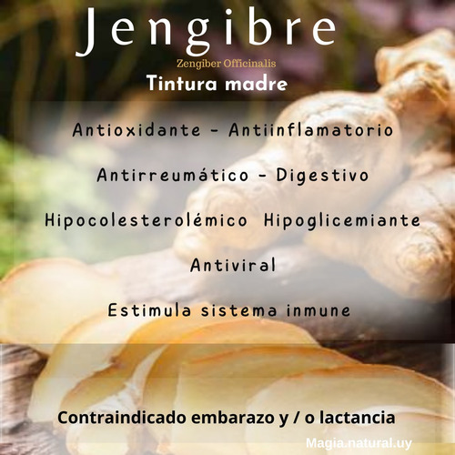 Tintura Madre De Diente De León 30 Ml. Homeopatía
