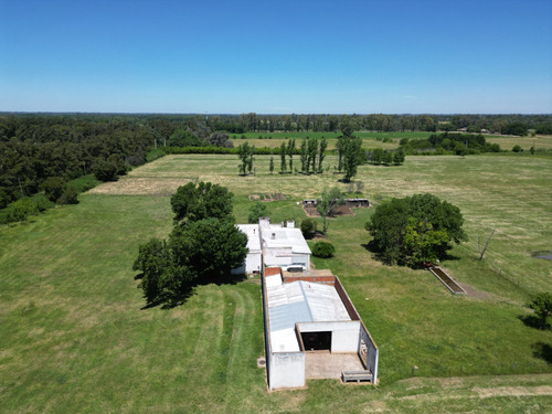 Campo En Pilar