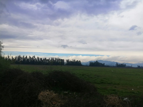 Gran Oportunidad 3 Parcelas De Agrado En El Abra Requinoa